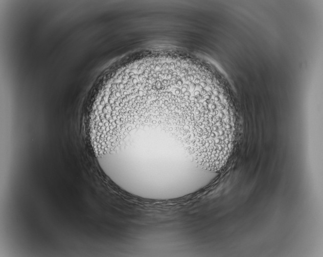 X0000096151016200802151350