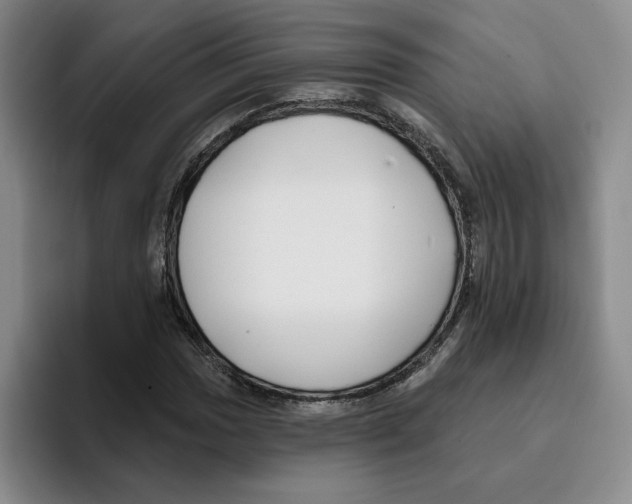 X0000096151017200802151350