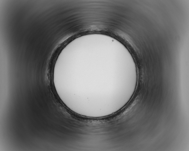 X0000096151018200802151350