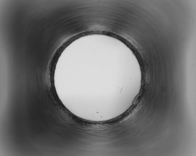 X0000096151022200802151350