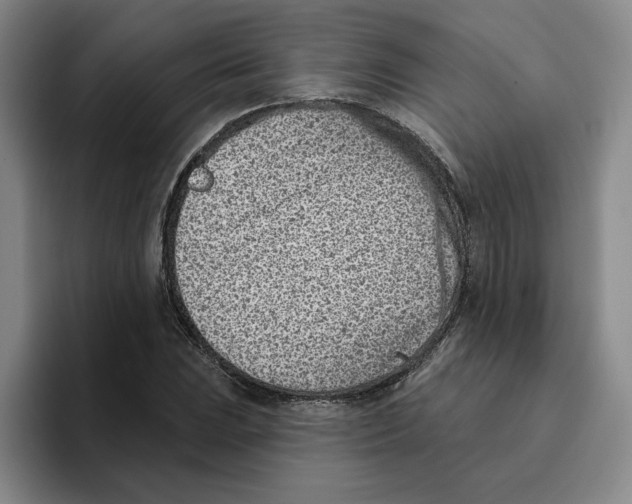 X0000096151023200802151350