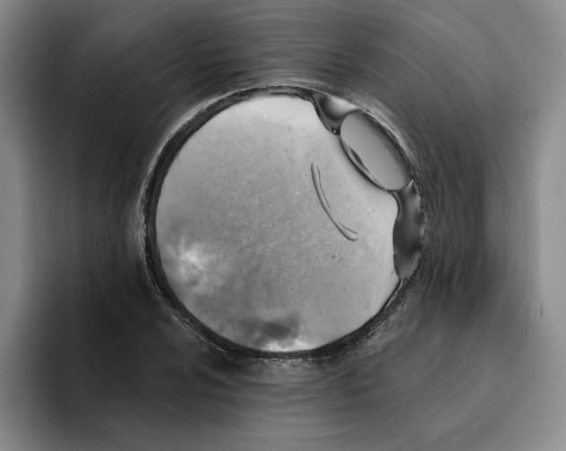 X0000096151024200802151350