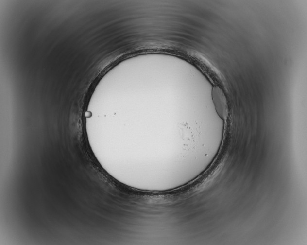 X0000096151025200802151350