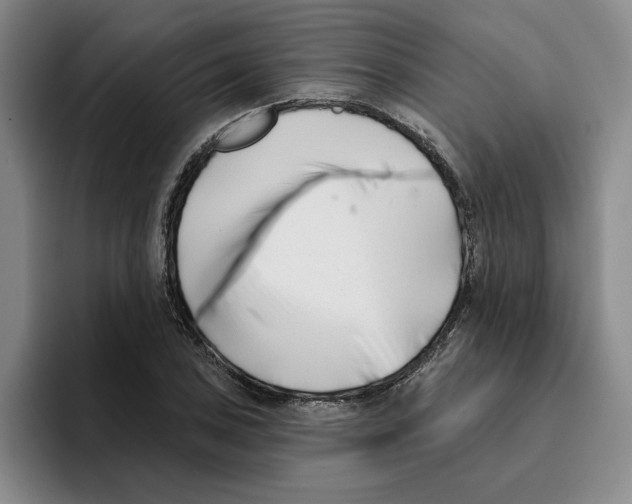 X0000096151027200802151350