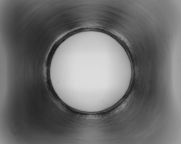 X0000096151029200802151350