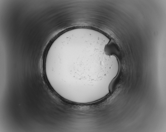 X0000096151030200802151350