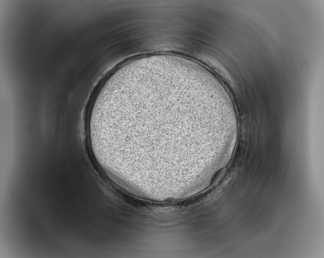 X0000096151031200802151350