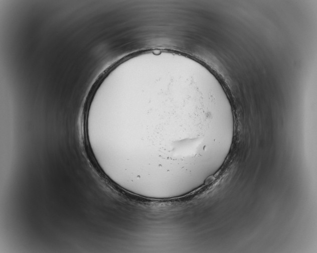 X0000096151032200802151350