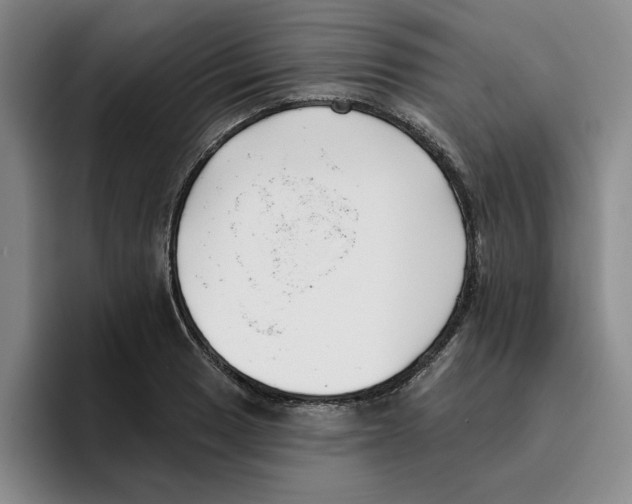 X0000096151033200802151350