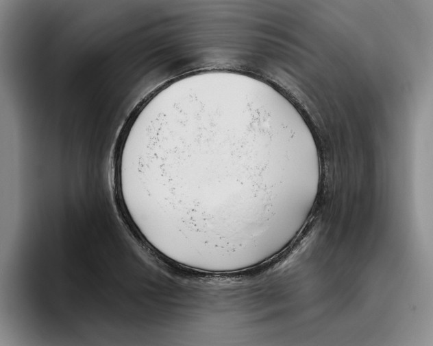 X0000096151034200802151350