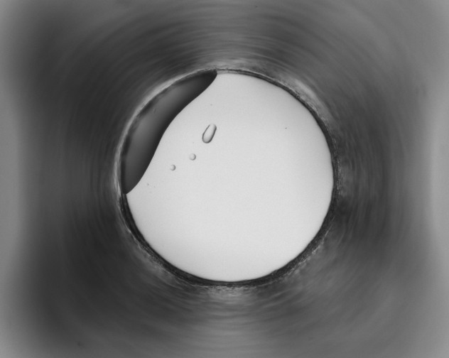 X0000096151036200802151350