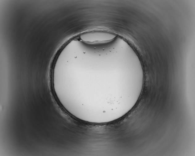 X0000096151038200802151350