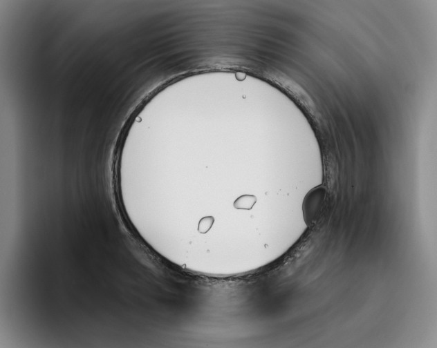 X0000096151039200802151350