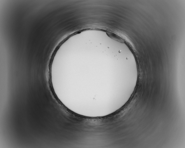 X0000096151040200802151350