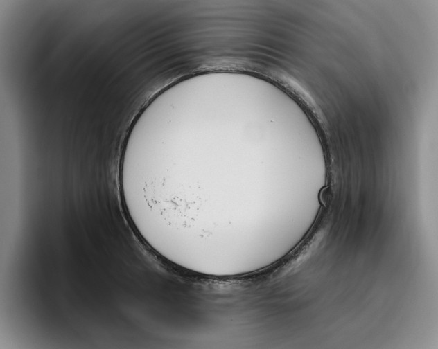 X0000096151041200802151350