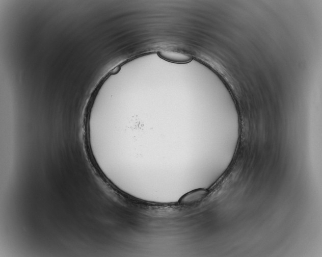 X0000096151042200802151350