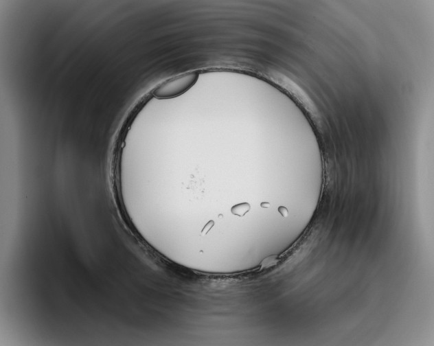 X0000096151043200802151350