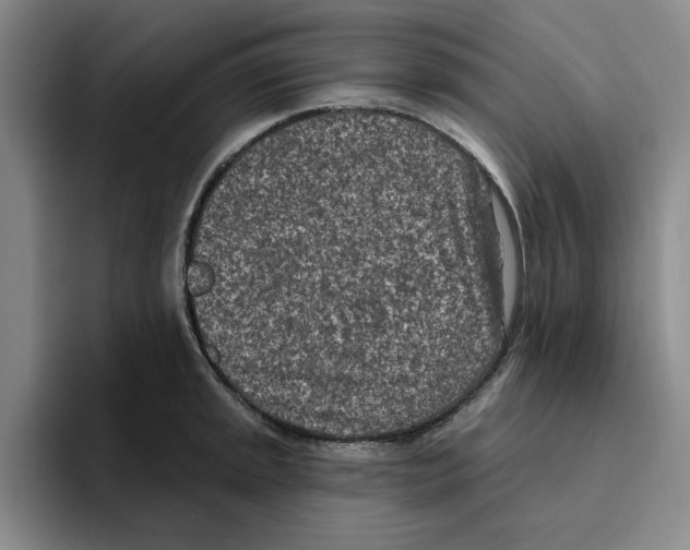 X0000096151045200802151350