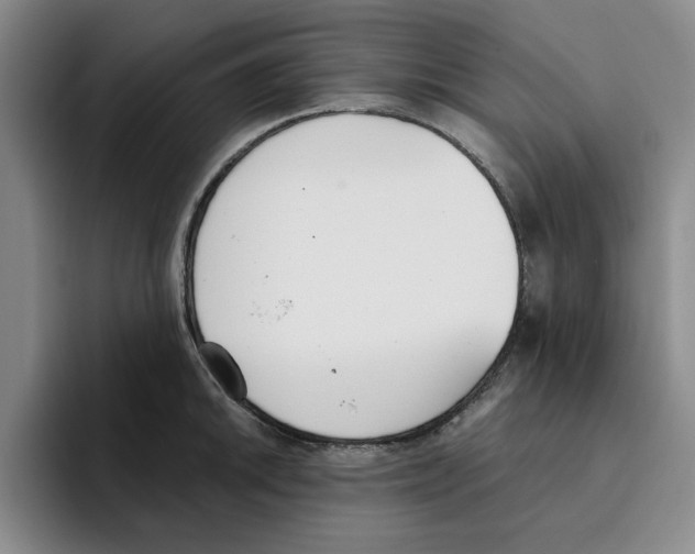 X0000096151046200802151350