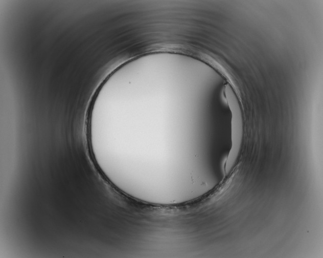 X0000096151050200802151350