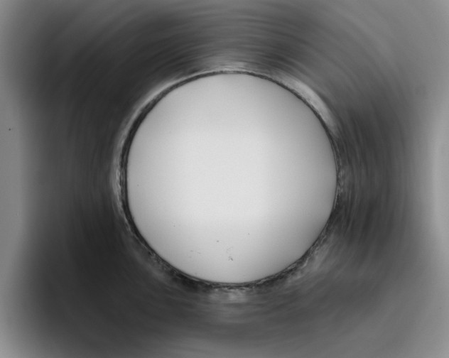 X0000096151051200802151350