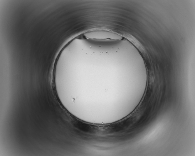 X0000096151052200802151350