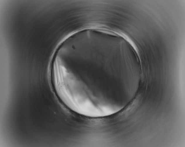 X0000096151053200802151350