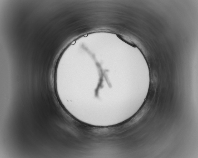 X0000096151054200802151350