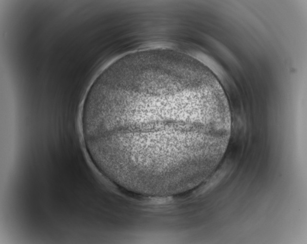 X0000096151055200802151350