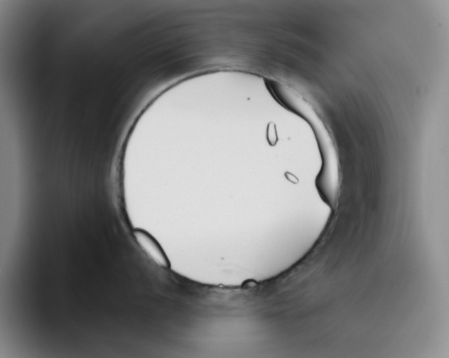 X0000096151056200802151350