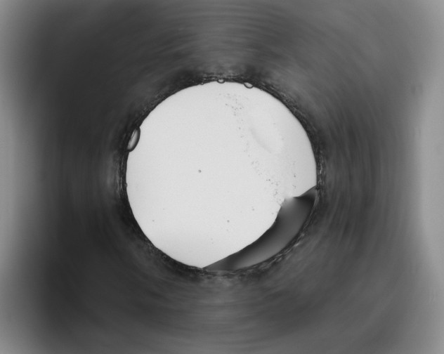 X0000096151058200802151350