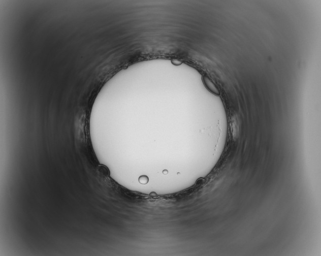 X0000096151059200802151350