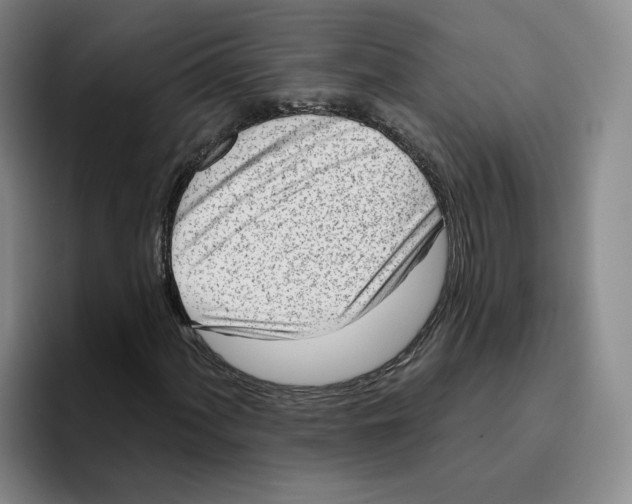 X0000096151060200802151350