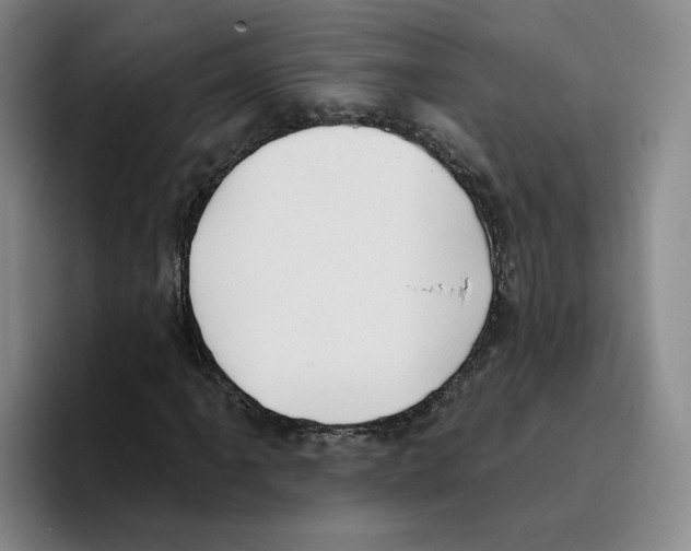 X0000096151061200802151350