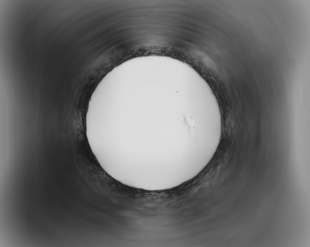 X0000096151062200802151350