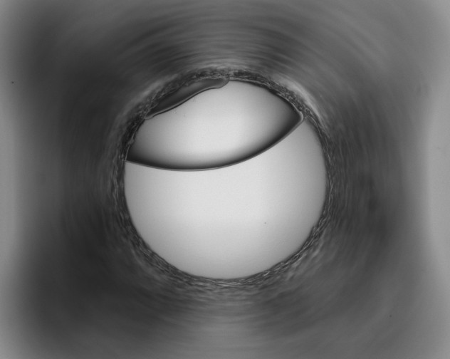 X0000096151064200802151350