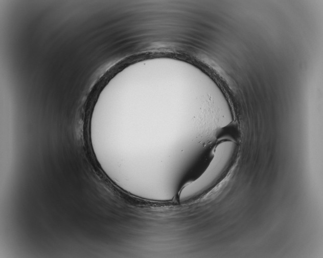 X0000096151066200802151350