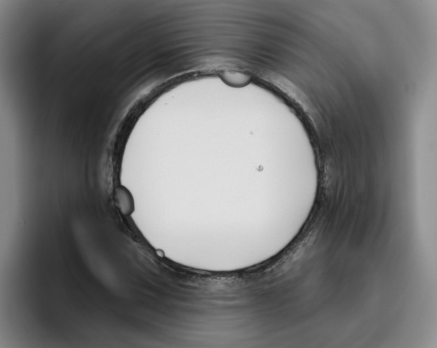 X0000096151067200802151350