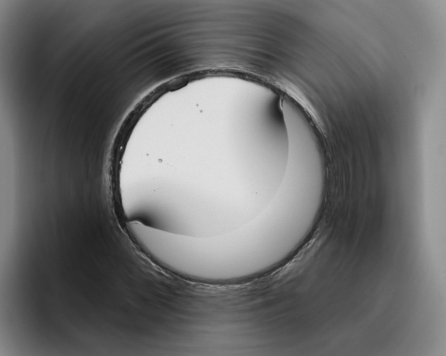 X0000096151068200802151350