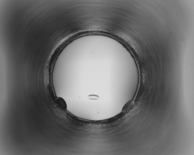 X0000096151069200802151350