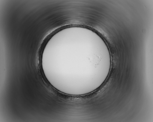 X0000096151070200802151350