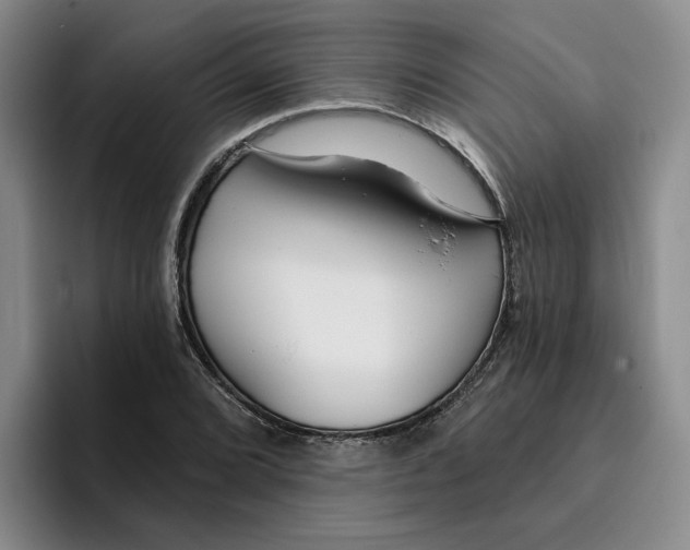 X0000096151072200802151349