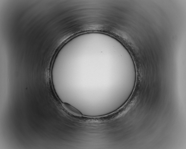 X0000096151073200802151349