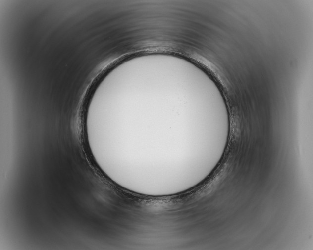 X0000096151074200802151349