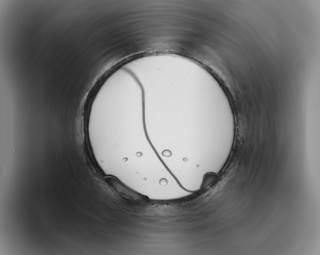 X0000096151075200802151349