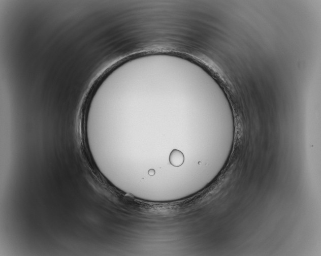 X0000096151078200802151349