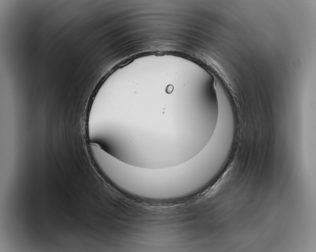 X0000096151081200802151349