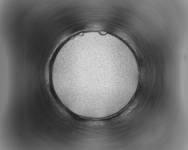 X0000096151083200802151349