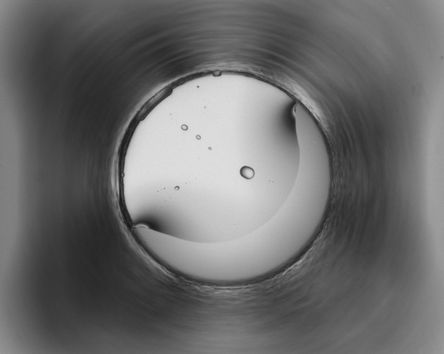 X0000096151084200802151349