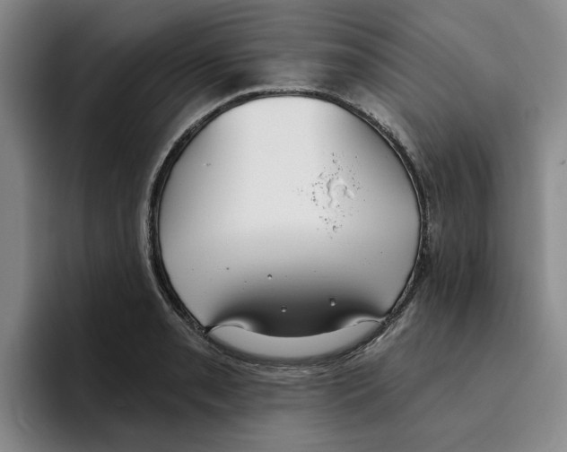 X0000096151085200802151349